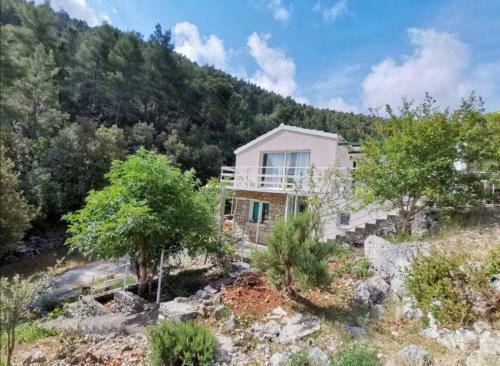 Tina's Holiday House