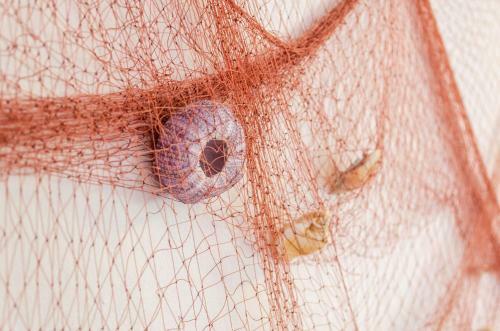 Apartments Namoru Gradina