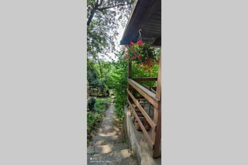 Apartamento Dombos Vend�gh�z