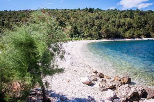 Apartamento Villa Maslina Duba