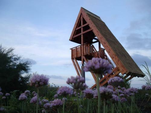 R�ka Apartmanh�z