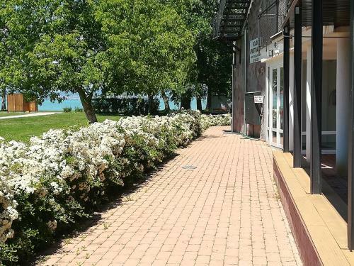 Zam�rdi Sir�ly Apartmanok