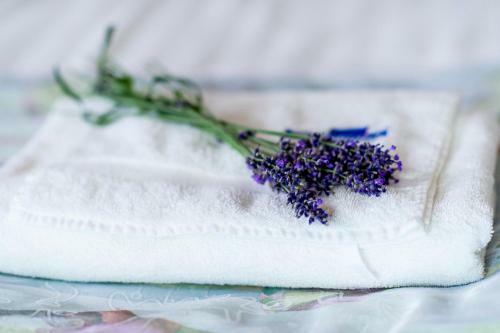 Gy?rfi Apartmanh�z Zam�rdi