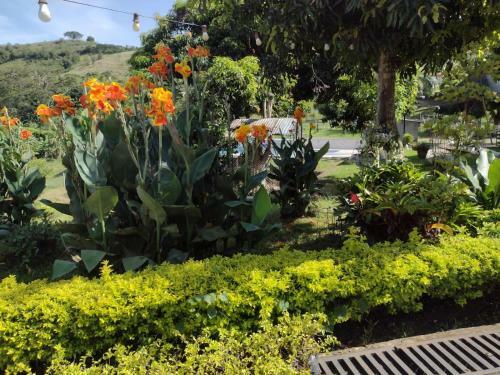 Monteverde Holiday Apartments