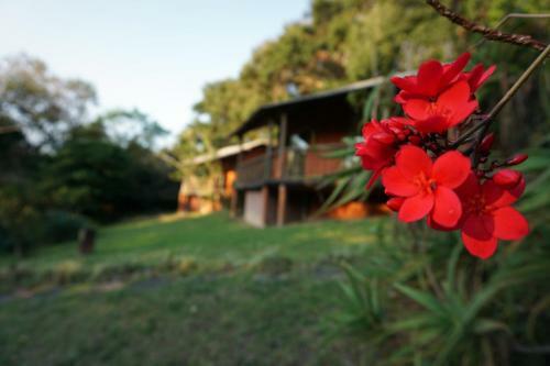 Highcroft Retreat & Lodge