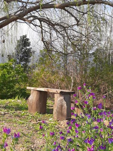 Klipfontein Rustic Farm & Camping