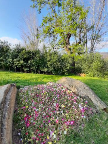 Klipfontein Rustic Farm & Camping