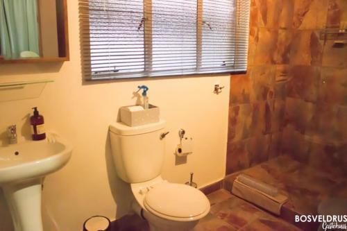 Hostal Bosveldrus Gastehuis