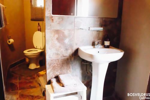 Hostal Bosveldrus Gastehuis