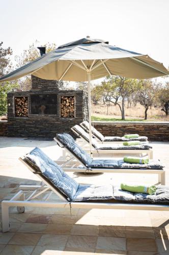 Villa Tholo Manzi Private Game Farm