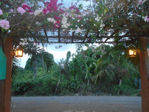 Hostal Jungle Flower Guest House