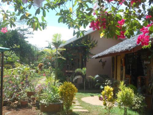 Hostal Jungle Flower Guest House