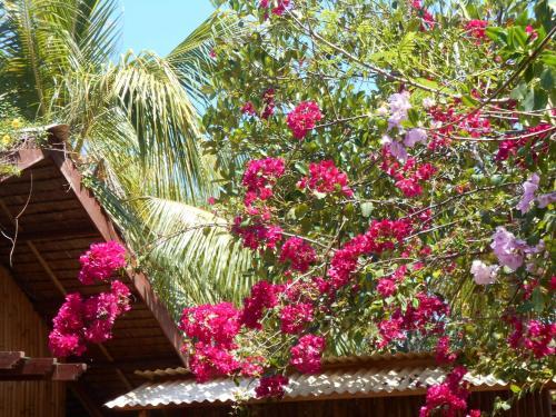 Hostal Jungle Flower Guest House