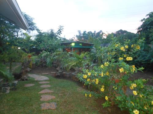 Hostal Jungle Flower Guest House