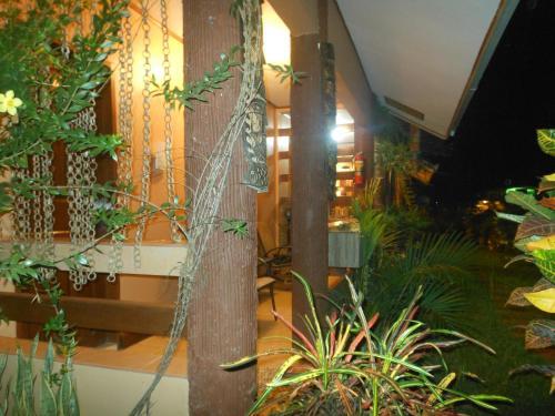 Hostal Jungle Flower Guest House