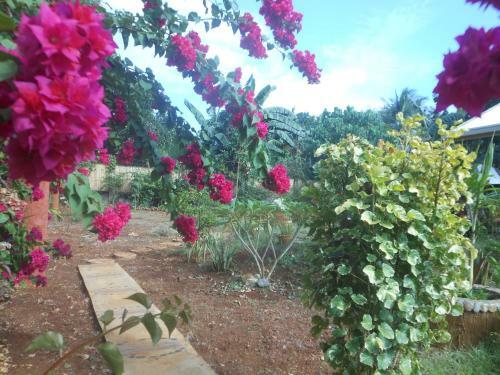 Hostal Jungle Flower Guest House