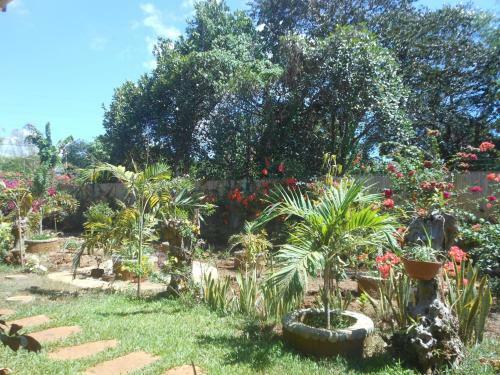 Hostal Jungle Flower Guest House