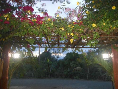 Hostal Jungle Flower Guest House