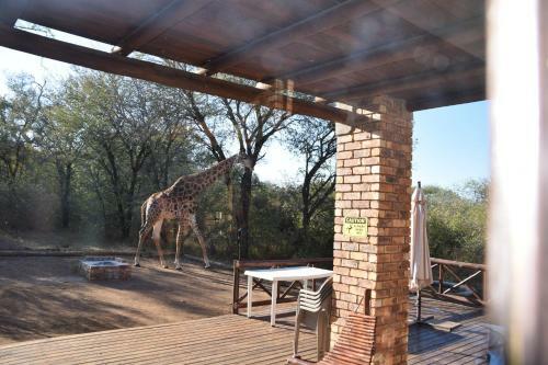 Villa Khumbula Iafrica 2