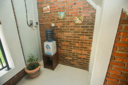 Hostal The Backyard House