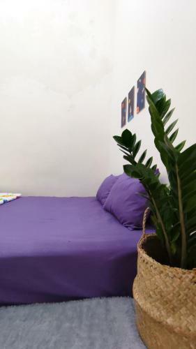 Bed & Breakfast Surabaya Homey Near Its