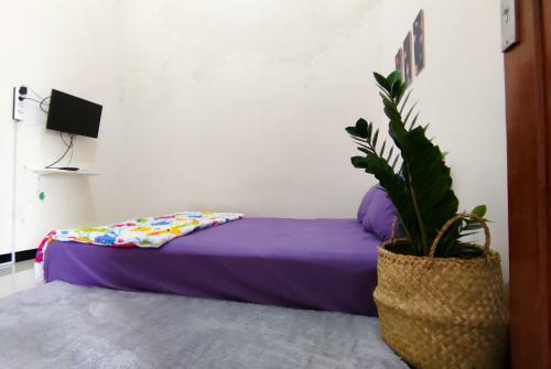 Bed & Breakfast Surabaya Homey Near Its