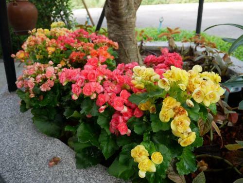 Hotel Look At Home Lamphun