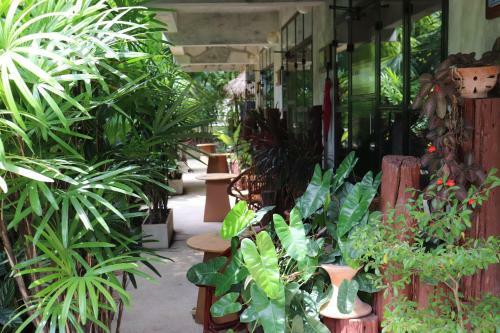 Hostal The Picturebook Guesthouse