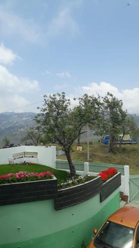 Salora Kodai