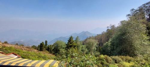 Bed & Breakfast Four Views