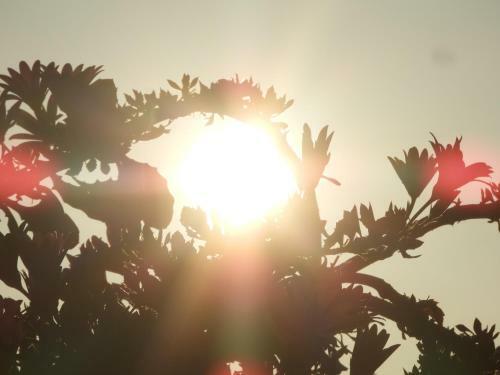 Villa Astha Homestay - Feeling Homely