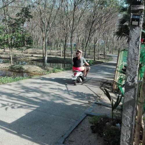 Nakhon Si Ban Na Homestay