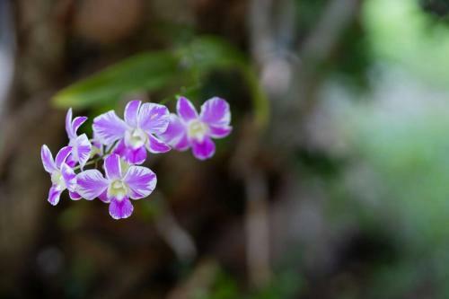 Villa ??????? ??? ???? ??? Sweet 4