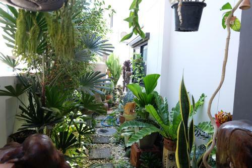 Flower Lover House Pakchong