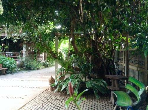 Banban Nannan Library And Guesthome