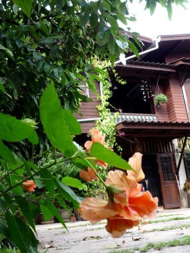 Banban Nannan Library And Guesthome