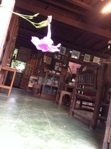 Banban Nannan Library And Guesthome