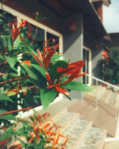 Bed & Breakfast Boutique Family Room Phitsanulok