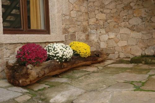 Apartamento La Quinta Del Chocolatero