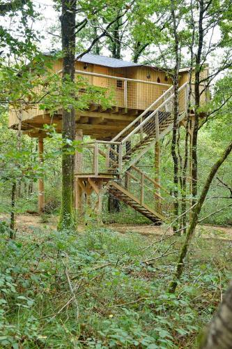 D�fiplanet' Au Domaine De Dienn�