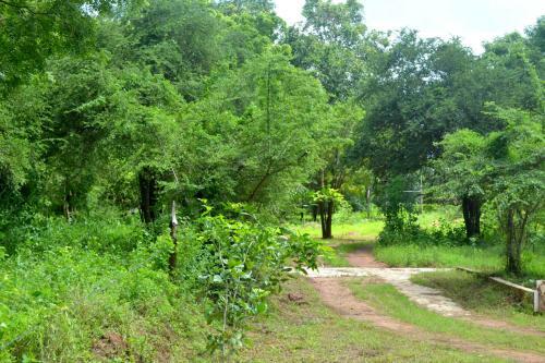 Hostal Dilsara Holiday Resort