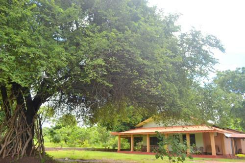 Hostal Dilsara Holiday Resort