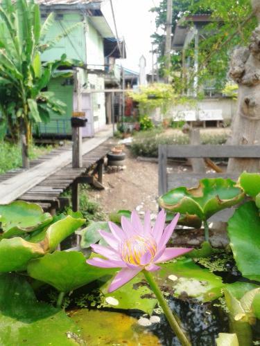 Bed & Breakfast Ray Nu Guest House