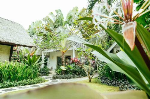 Hotel Rapture Surfcamps Padang-padang