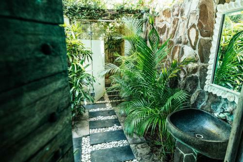 Hotel Rapture Surfcamps Padang-padang