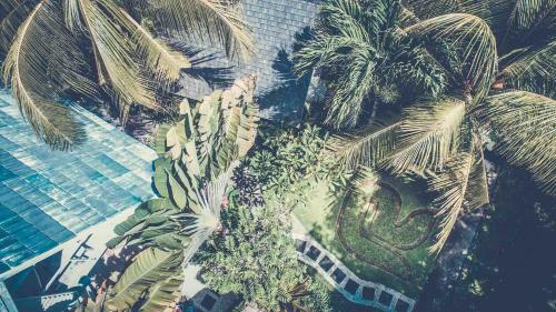 Hotel Rapture Surfcamps Padang-padang