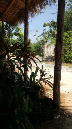 Hostal Sweetville Home