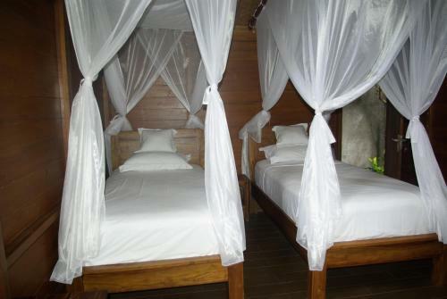 Hostal Meraki Pemuteran Homestay