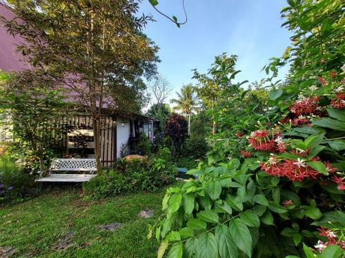 Village Homestay