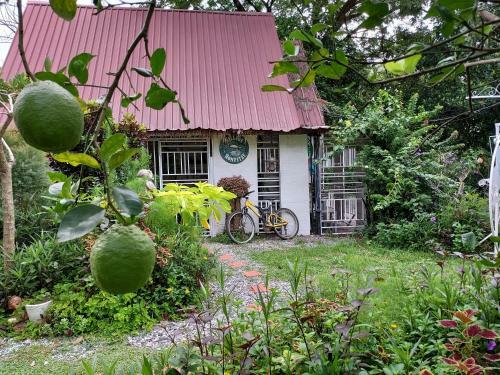 Village Homestay